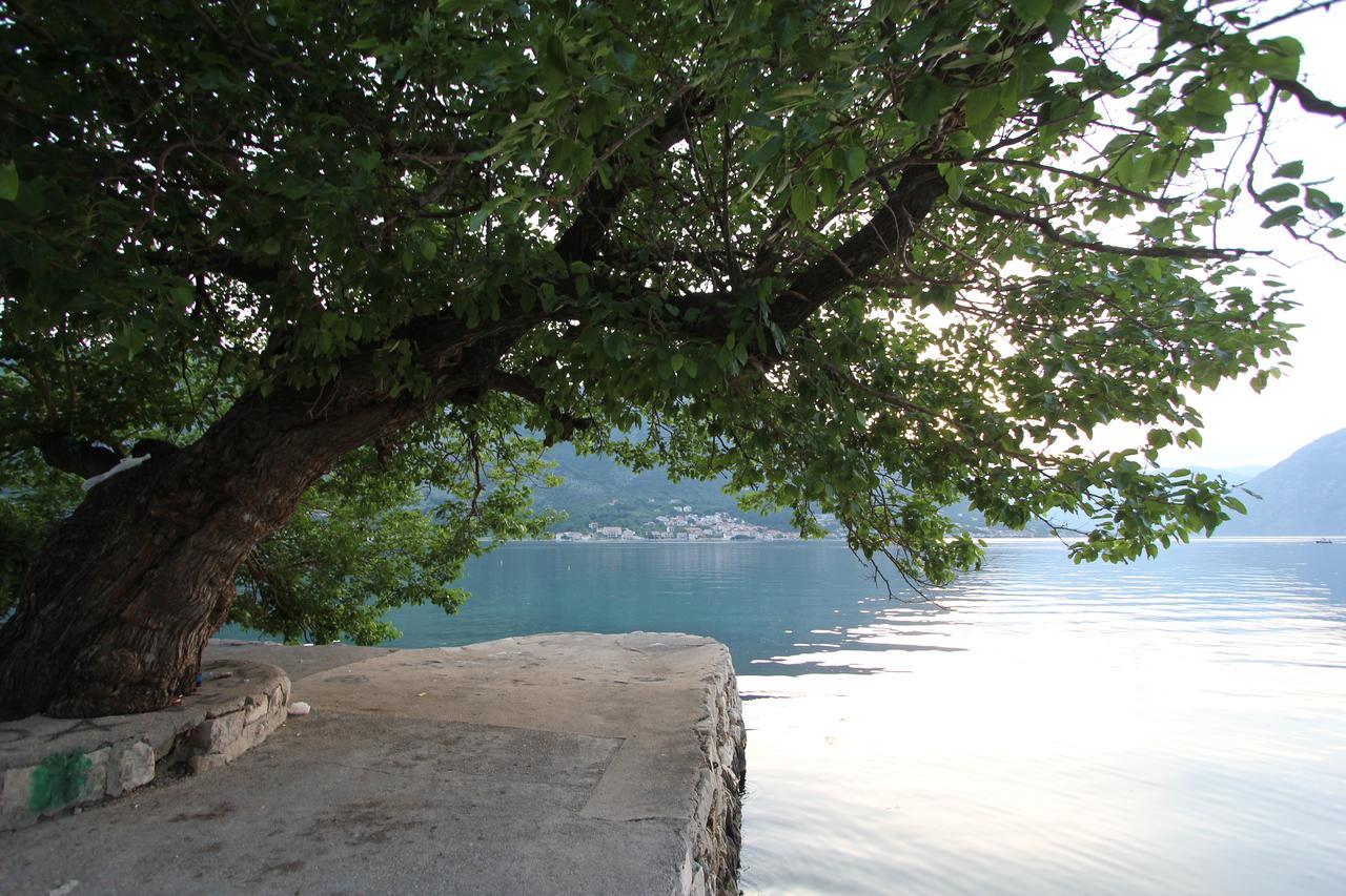 Adriatic Pearl Котор